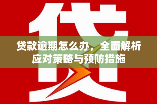 莱阳贷款逾期怎么办，全面解析应对策略与预防措施