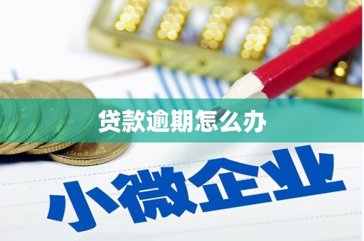 莱阳贷款逾期怎么办