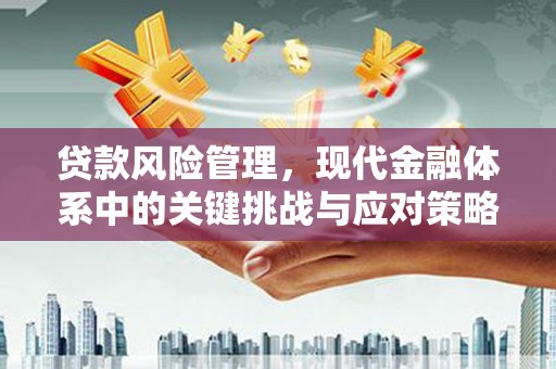 莱阳贷款风险管理，现代金融体系中的关键挑战与应对策略