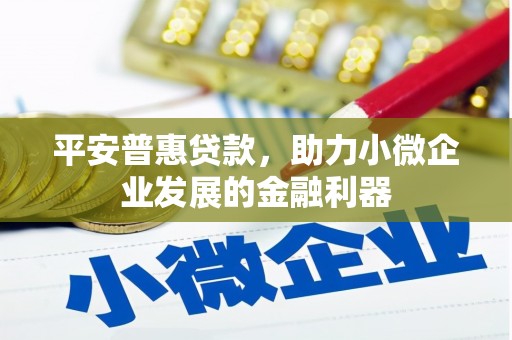 莱阳平安普惠贷款，助力小微企业发展的金融利器