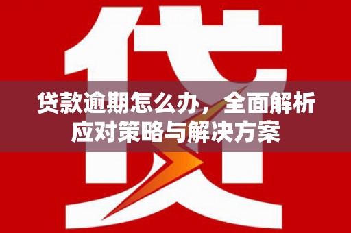 莱阳贷款逾期怎么办，全面解析应对策略与解决方案